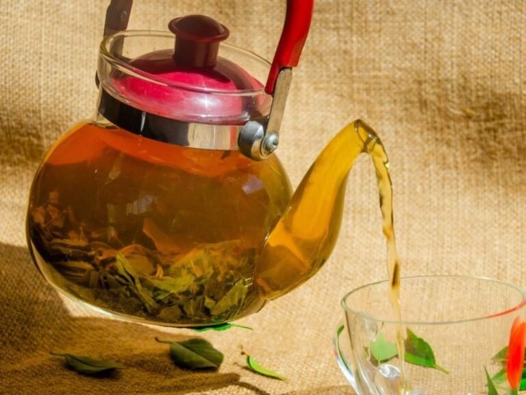 हेल्थ एक्सपर्ट्सच्या ‘या’ उपायाने छातीतील कफ चुटकीसरशी पडेल बाहेर, करोनातही राहाल सेफ! हेल्थ एक्सपर्ट्सच्या ‘या’ उपायाने छातीतील कफ चुटकीसरशी पडेल बाहेर, करोनातही राहाल सेफ!