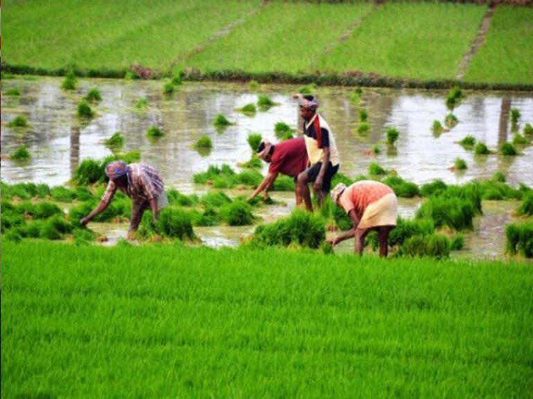 अजित पवारांच्या ‘त्या’ घोषणेची अंमलबजावणी होणार; शेतकऱ्यांना मोठा दिलासा