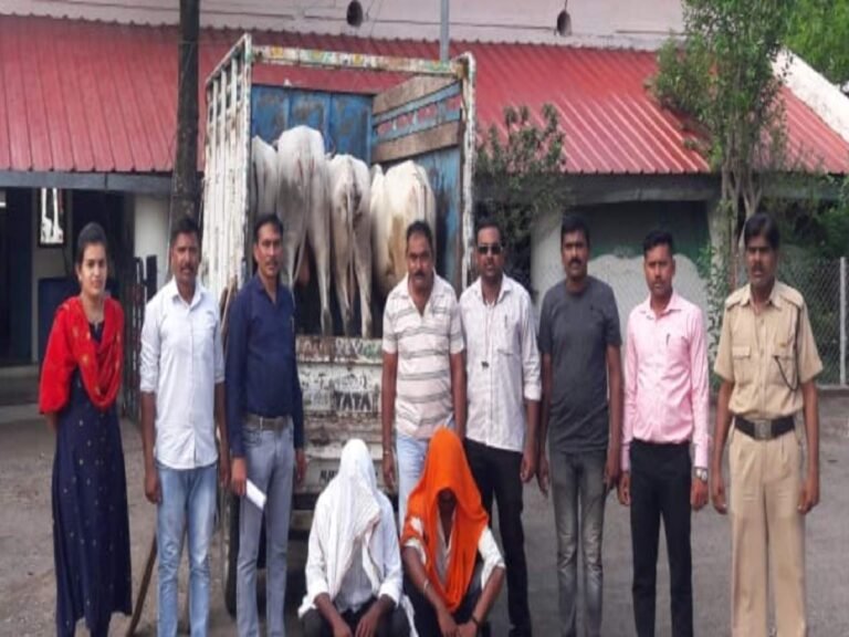 कसाई वाहनात कोंबून करत होता गोवंश तस्करी, तेवढ्यात… – amravati police arrest two for smuggling cattle कसाई वाहनात कोंबून करत होता गोवंश तस्करी, तेवढ्यात… – amravati police arrest two for smuggling cattle