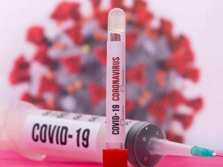 Coronavirus In Maharashtra Latest Update: Coronavirus In Maharashtra: राज्यात करोनाचे आणखी २५७ बळी; नवीन बाधितांच्या संख्येत सातत्याने घट – maharashtra reports 8912 new covid 19 cases 10373 patient discharges and 257 deaths in the past 24 hours