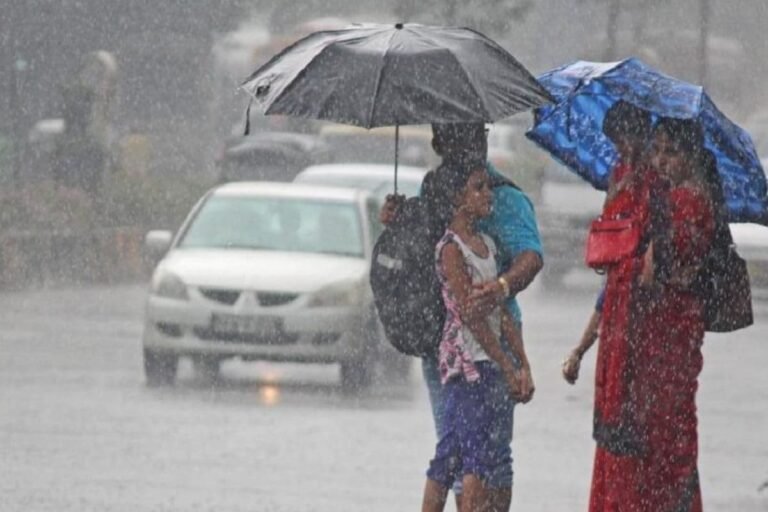 राज्यात कसा असेल आज पाऊस, पावसाचे प्रत्येक अपडेट्स जाणून घ्या