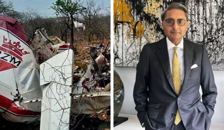 Zimbabwe Plane Crash : झिम्बाब्वे मध्ये झालेल्या विमान अपघातात भारतीय उद्योजकाचा आणि त्यांच्या मुलाचा मृत्यू